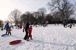 Brincliffe Park, Sheffield - sledge-central in Feb